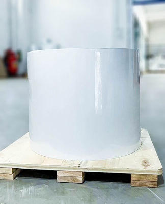 좋은 가격 타이어 접착제 유형 접착제 PE 라벨 재료 롤 80u 표면 두께 온라인으로